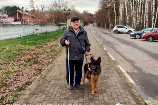 03-12-osfr-zhitel-kuzbassa-poluchil-sobaku-provodnika-28EF683B1-A9B5-0772-5987-2C86B985FCB0.jpg