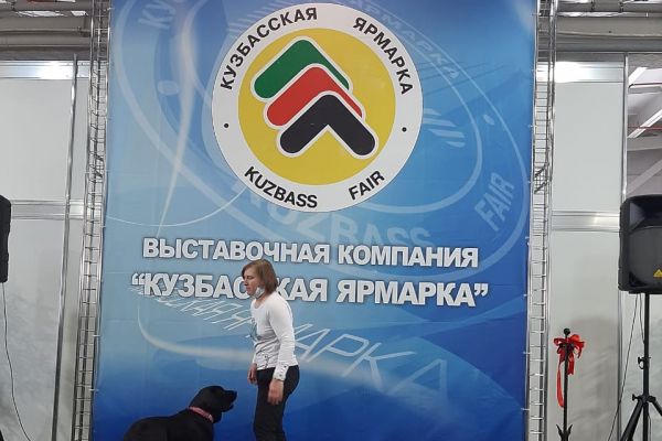 Ирина Маляш с собакой-проводником исполняют танец 