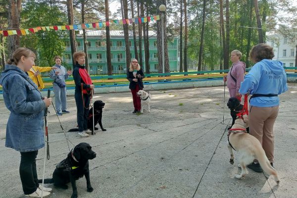 региональный слёт владельцев собак-проводников Кузбасса «Лапы помощи»